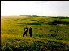 Еще не обследованные курганы на закате. Возможно - могилы неизвестных арийских вождей.