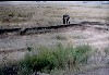 Законсервированные раскопки. Видна лишь малая их часть.