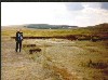 Законсервированные раскопки. Видна лишь малая их часть.